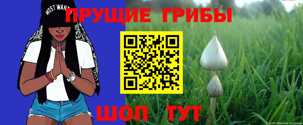 Галлюциногенные грибы ЛСД  Галлюциногенные грибы прущие грибы  Вход с VPN  Реутов 